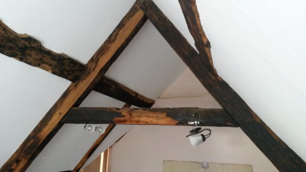 Dark Timber Beams